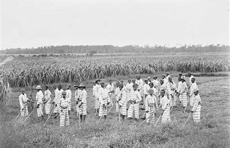 Несовершеннолетние осужденные за работой на полях. США, 1903 год. 