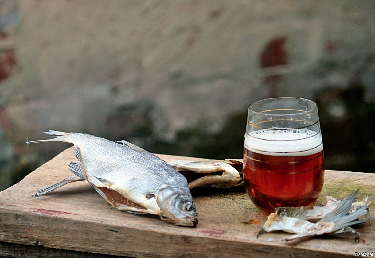Рыба пьет пиво. Пивко с рыбкой.