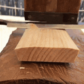 Гифки вечера