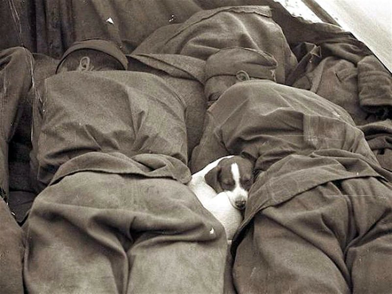 Советские солдаты на отдыхе, 1943