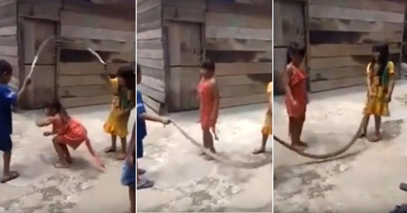 Вьетнамские детишки перепутали огромную змею со скакалкой