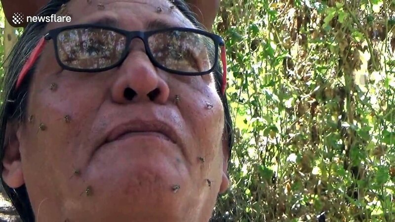 Человек из Индонезии может вызывать пчел с помощью медитации