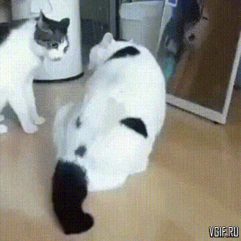 Гифки разные