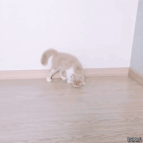 Гифки разные