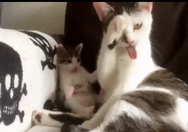 Гифки разные