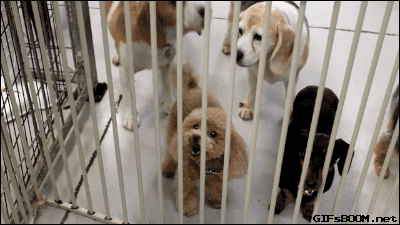 Гифки разные