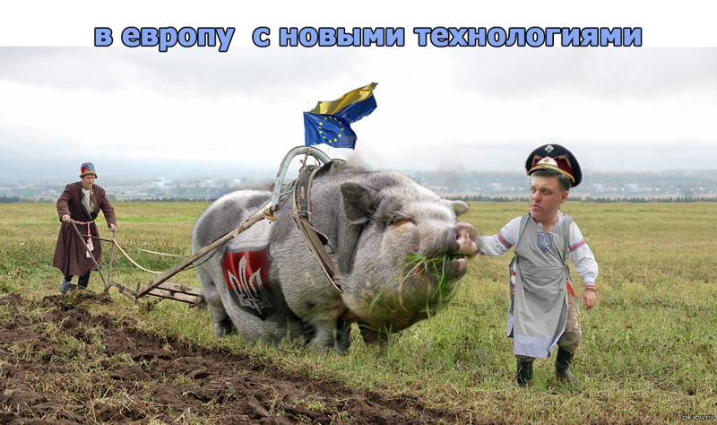 Политические бояны в картинках