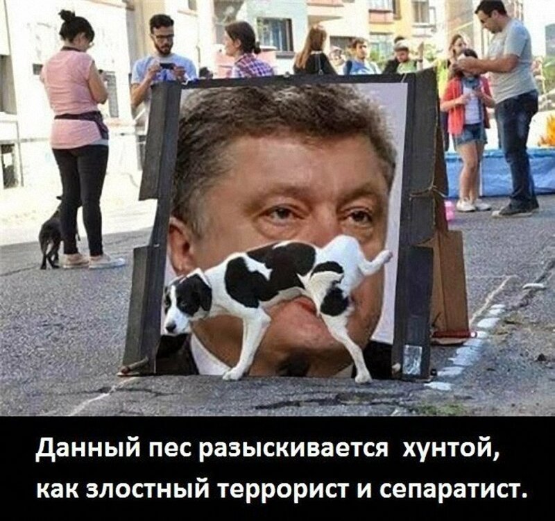 Политические бояны в картинках