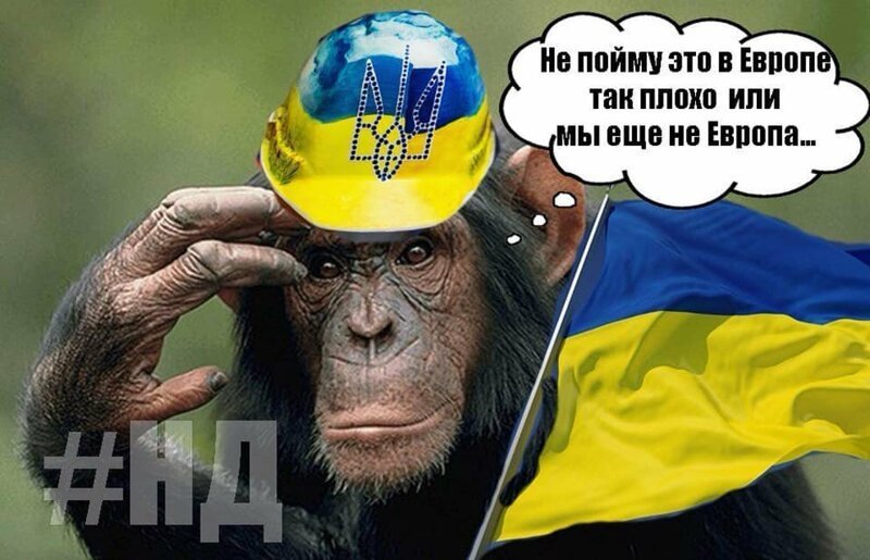Политические бояны в картинках