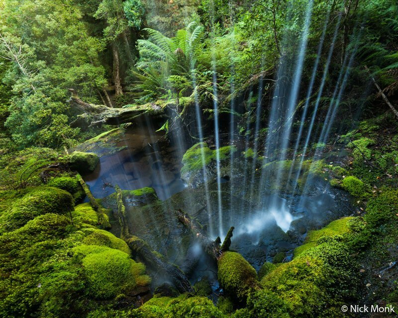 2-е место в категории «Пейзаж». «Сквозь завесу». Небольшой водопад занавешивает тропический лес на территории под названием «Дикая природа Тасмании», что входит в список объектов Всемирного наследия. Автор фото: Ник Монк.