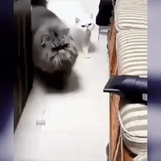 Гифки разные