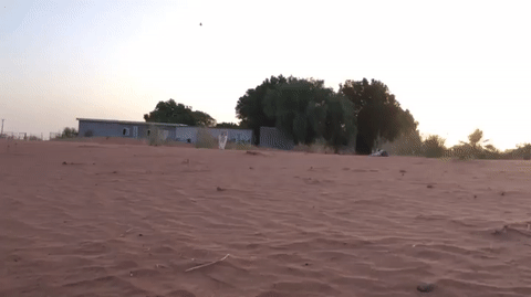 Гифки разные