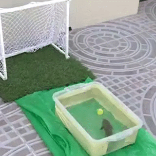 Гифки разные