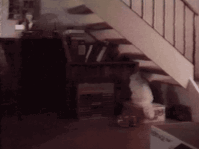 Гифки разные