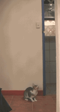 Гифки разные