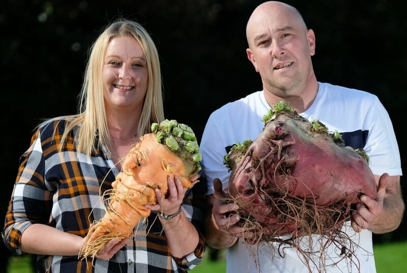 Лаура и Крис Марриотт позируют с победившей морковкой в 3,8 кг и свеклой в 17,84 кг.