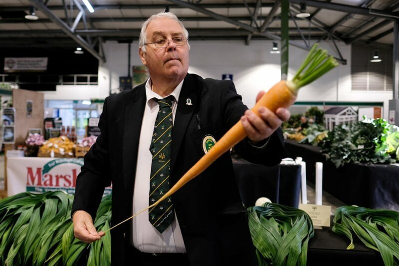 Йоркширский гигантский овощ — в фотографиях
