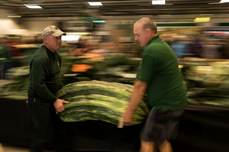 Йоркширский гигантский овощ — в фотографиях