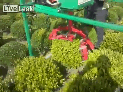 Гифки разные Гифки разные