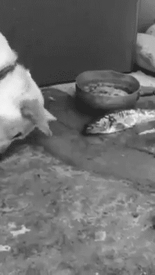 Гифки разные Гифки разные