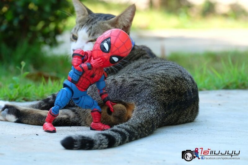 Художник придумывает смешные приключения Человека-паука в стране кошек