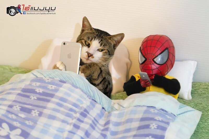 Художник придумывает смешные приключения Человека-паука в стране кошек