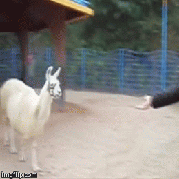 Гифки разные