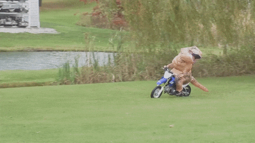 Гифки с динозаврами