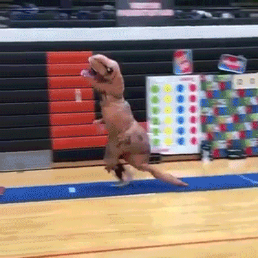 Гифки с динозаврами