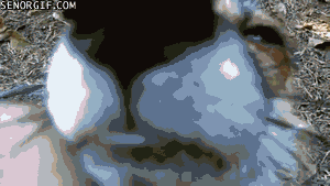 Гифки всякие