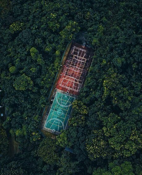"Спортивные площадки в лесу". Сингапур