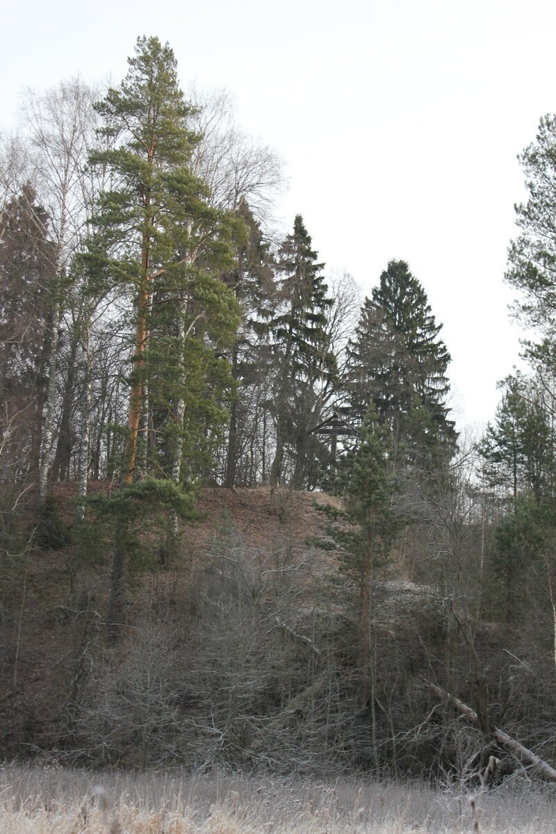 Село Воздвиженское