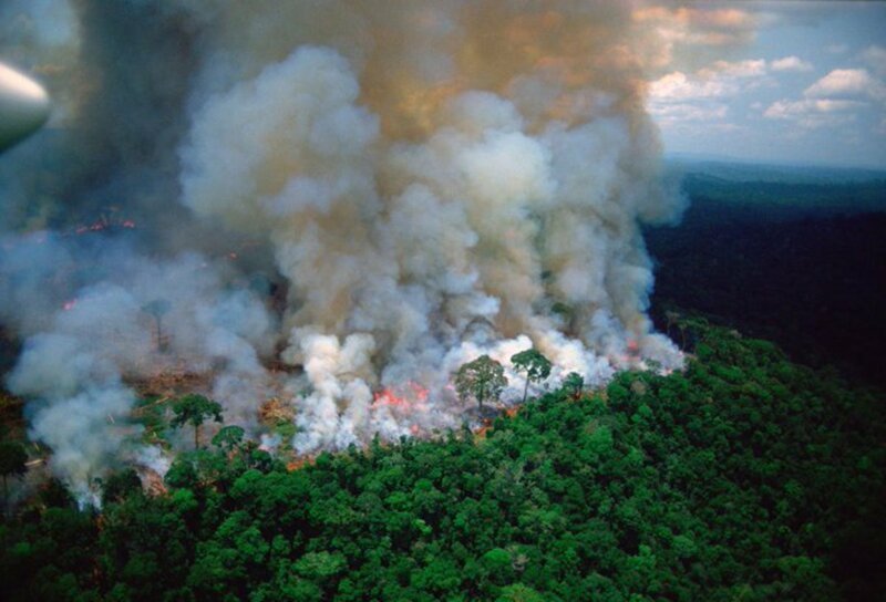 Президент Бразилии обвинил Ди Каприо в финансировании лесных пожаров