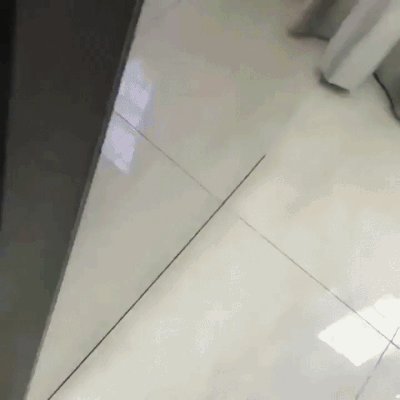 Собачьи гифки