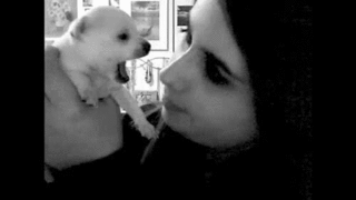 Собачьи гифки