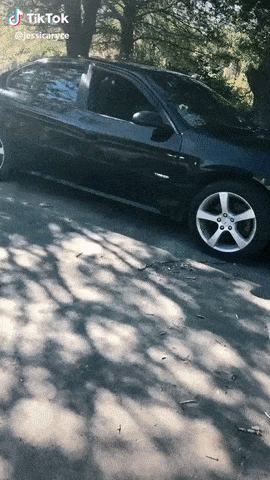 Кошачьи гифки