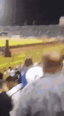 Собачьи гифки