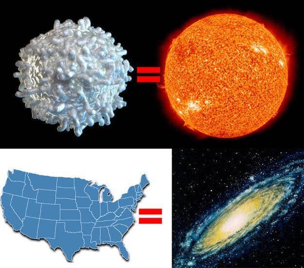 Наша галактика, Млечный путь, просто огромна! Размер США по отношению к Галактике равен размеру одной человеческой кровяной клетки по отношению к Солнцу
