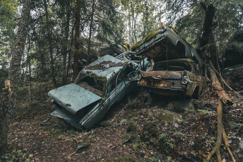 Заброшенные ретро-автомобили в лесу Швеции