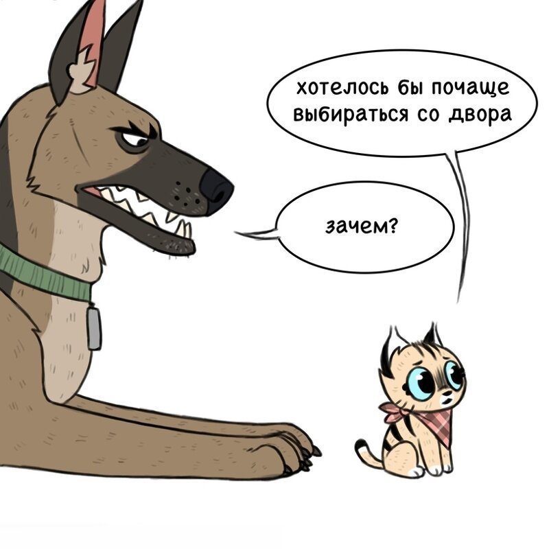 Картинки пикси и брутто