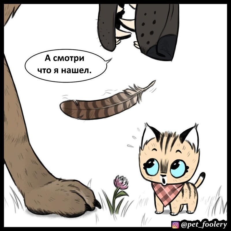 Брут и Пикси: «Находка Брута»