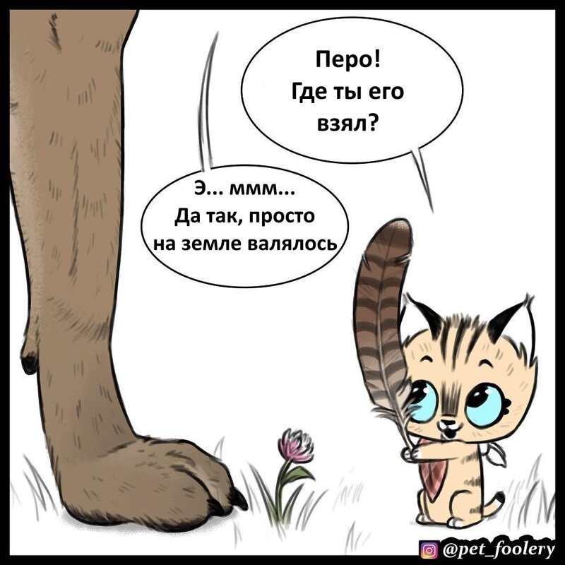Брут и Пикси: «Находка Брута»