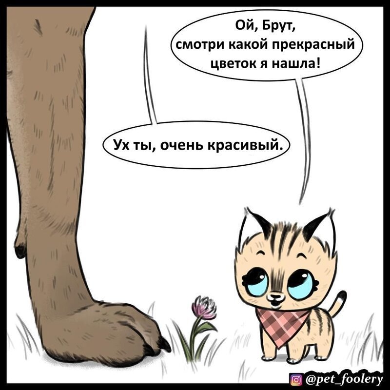 Брут и Пикси: «Находка Брута»