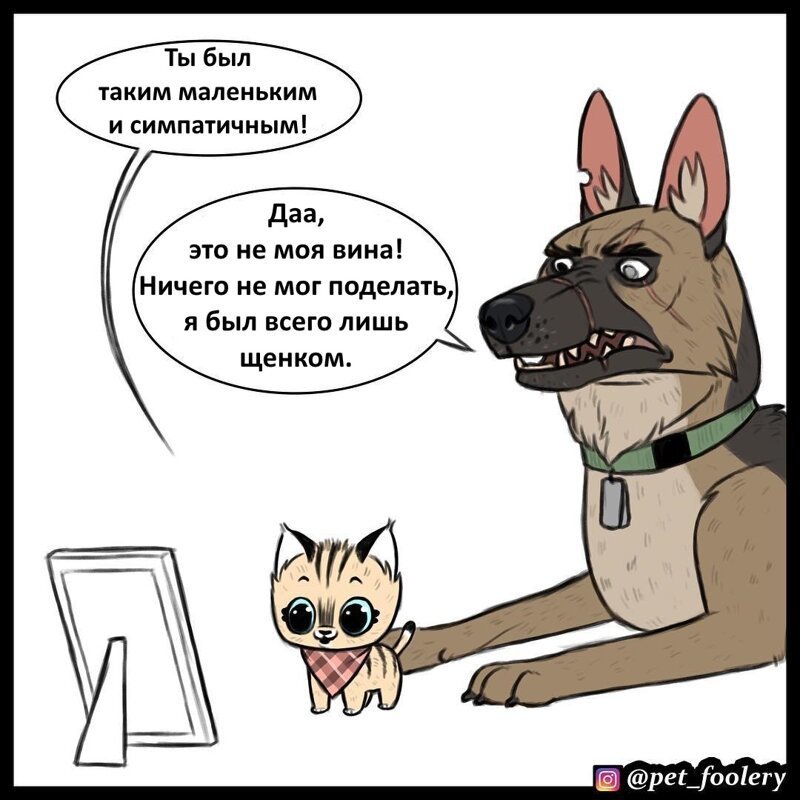 Брут и Пикси: «Юность Брута»
