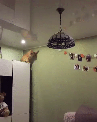 Добраться любой ценой