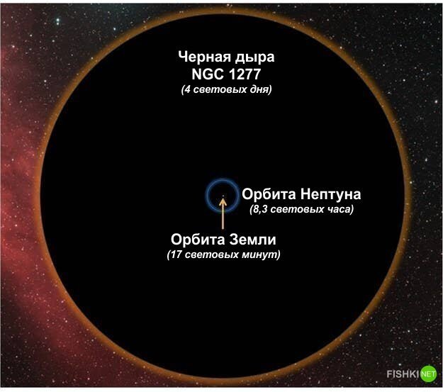 А теперь сравним орбиту Земли с чем-нибудь еще более крупным, чем звезды. Например, с черной дырой