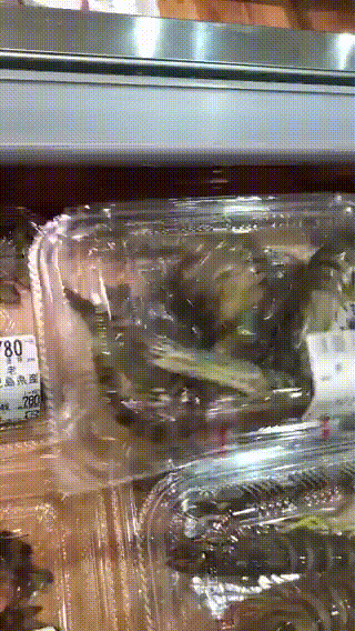 Свежайшие морепродукты