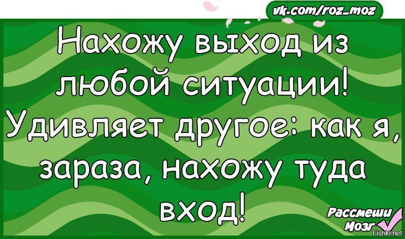 Ищем выход. Найду выход из любой ситуации. Нахожу выход из любой ситуации. Я нахожу выход из любой ситуации. Нет я конечно найду выход из любой ситуации.