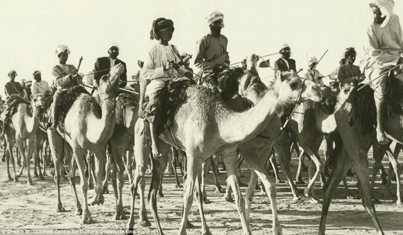 2. Караван верблюдов следует через Дубай. 1960-е.