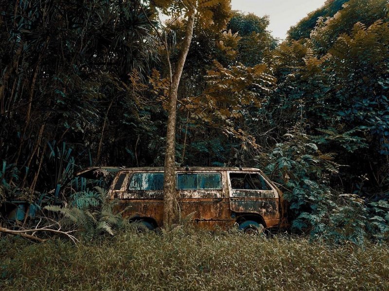 Брошенные автомобили в гавайских джунглях